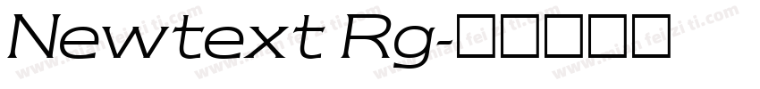 Newtext Rg字体转换